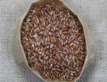 Arroz Integral Cateto Vermelho