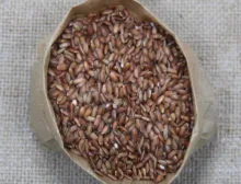 Arroz Integral Cateto Vermelho