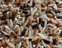 Arroz Oito Grãos