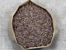 Pipoca Americana