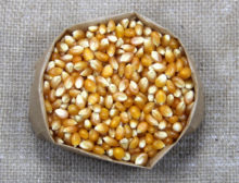 Proteína de Soja Caramelo (PTS)