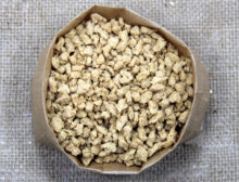 Quinoa em Grão