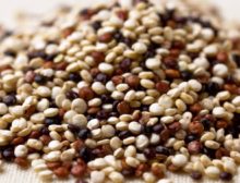 Quinoa Preta em Grão