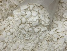 Farinha de Milho Branca