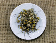 Camomila Em Flor Extra