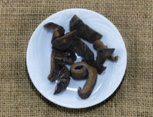 Funghi Secchi