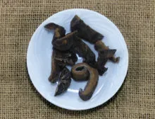 Funghi Secchi