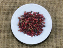 Pimenta Jamaica