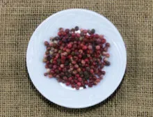 Pimenta Jamaica